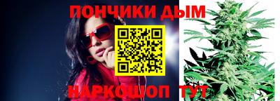 шишки Кимры