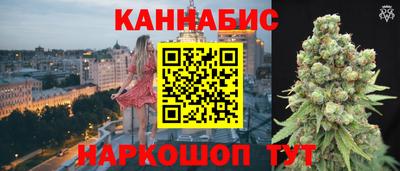 шишки Кимры