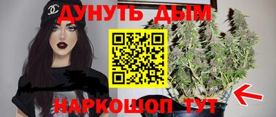 шишки Кимры