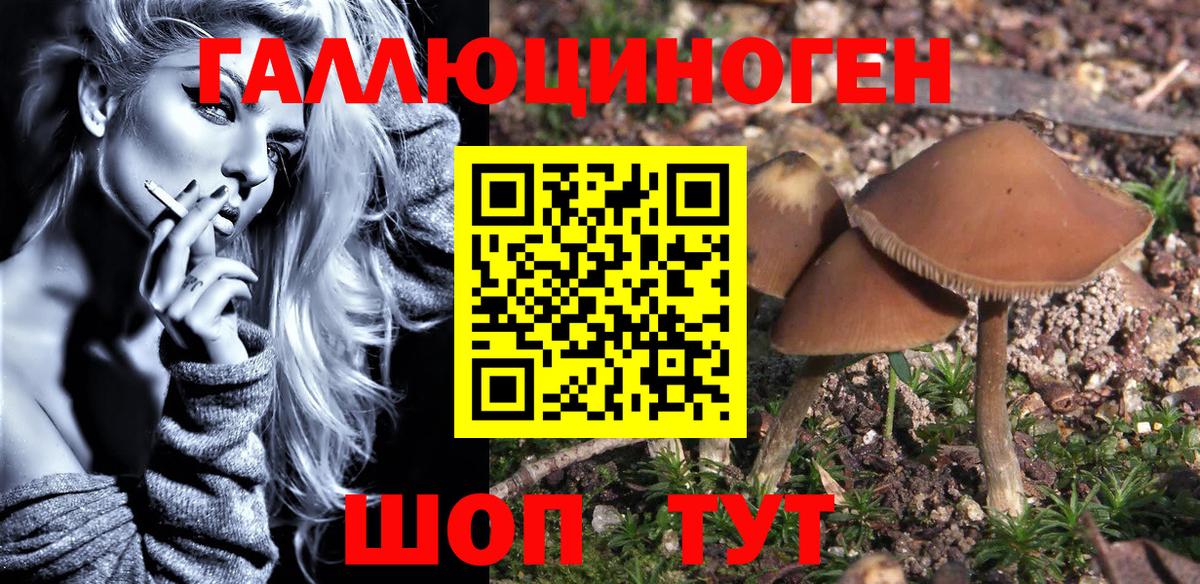 Кудрово  где можно купить наркотик  Вход с VPN  Псилоцибиновые грибы MAGIC MUSHROOMS 