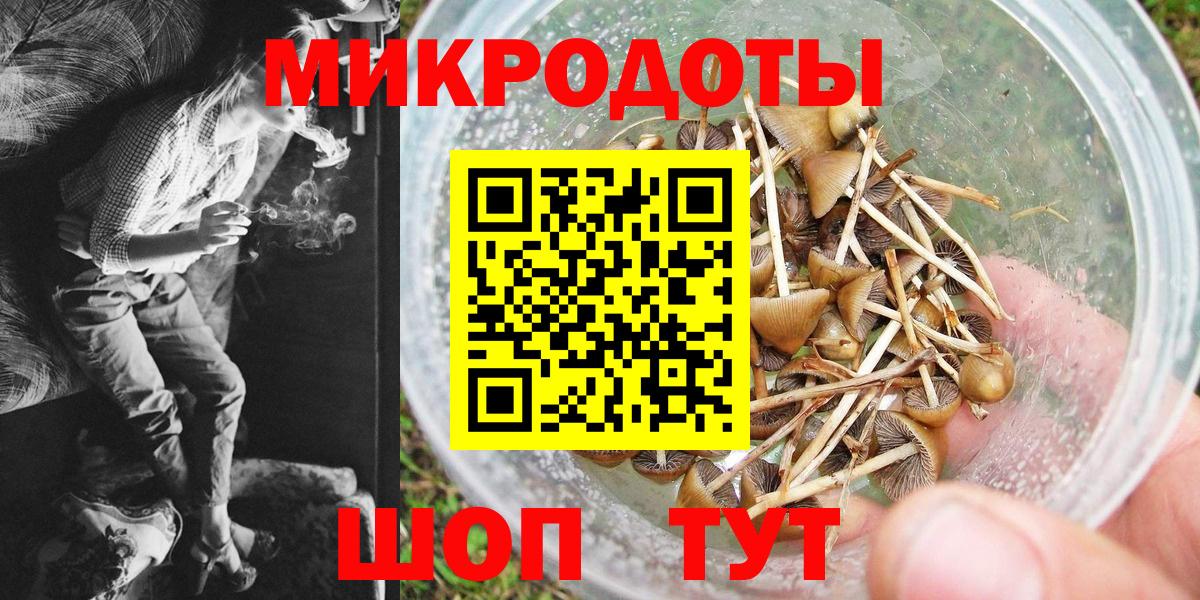 Галлюциногенные грибы ЛСД Кудрово